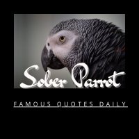 Sober Parrot(@SoberParrot) 's Twitter Profile Photo