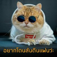 No Name(@phuthonwiwat) 's Twitter Profile Photo
