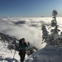 LaRhonda Palazzolo (@rebeccadaughtr4) 's Twitter Profile