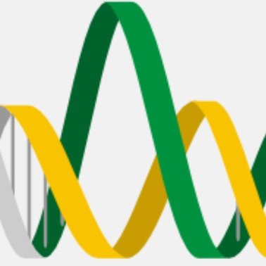 Programa de Pós-Graduação em Genética da Universidade Federal do Rio de Janeiro

Graduate Program in Genetics, Federal University of Rio de Janeiro