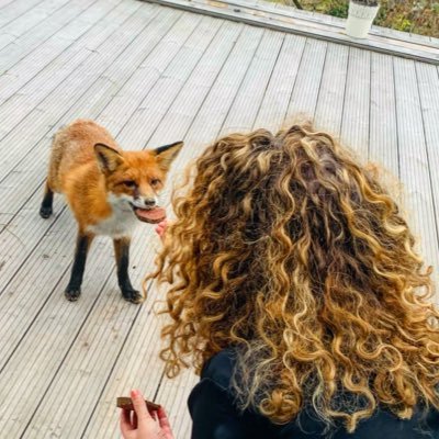 jozsibogar's profile picture. Balatonaddict gyárilag és munkakörileg, amúgy meg evés ivás szórakozás