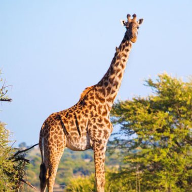 fo_stock's profile picture. 