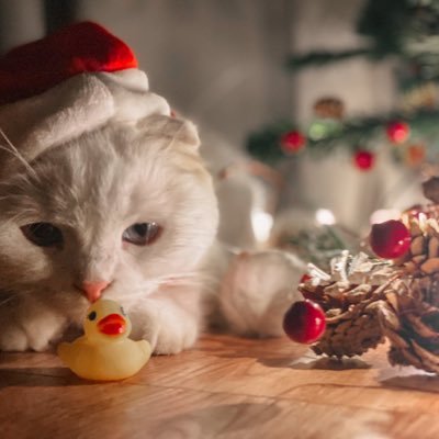 mybabeaz's profile picture. สาวปอโทตลกที่เป็นติวเตอร์ได้นิดหน่อย