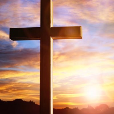 BoxwellCindy's profile picture. Teacher