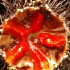 Materesa9123's profile picture. la mar