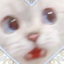 ふぁんさんのプロフィール画像