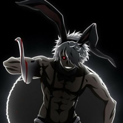 Fan art Juuni Taisen, juni taisen zodiac war rabbit HD phone wallpaper