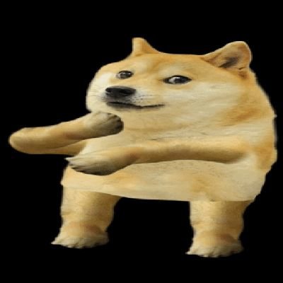 Makingbacon4's profile picture. Doge