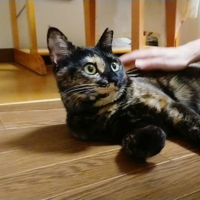 アズトさんのプロフィール画像