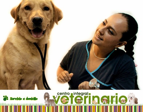 ci_veterinario's profile picture. 
