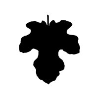 Natural Pursuits (@pursuitsnatural) 's Twitter Profile