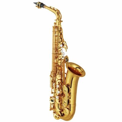 Genderfae Transgirl | I would like to improve on my sax as much as I can | she/they/fae/faer | 18 | Biromantic Asexual