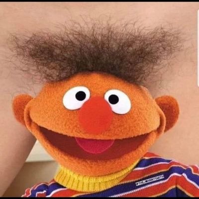 barko2580's profile picture. Exiled for 7 years. Don’t follow the herd they only lead to the slaughterhouse.