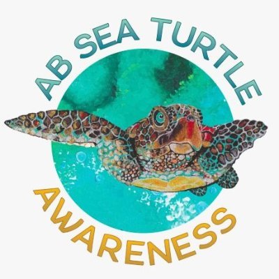 Nonprofit focusing on supporting the survival and revival of the #seaturtlespecies through education, volunteer training, awareness and protection. Save the 🐢!