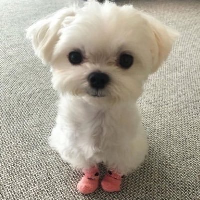 simggg2's profile picture. 