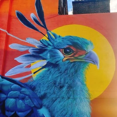 John Culshawさんのプロフィール画像
