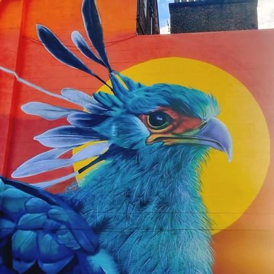 Mural artist based in liverpool