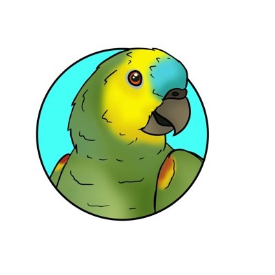 Meet the flock 🖤

🤍~Babe/Baby (Turquoise-fronted amazon)~🤍
❤️~Dapple  (Baby cockatiel)~❤️
🖤~Peanut  (Cockatiel)~🖤
💙~Sugar (quaker parrot)~💙