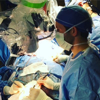 drdizmddvm's profile picture. Otolaryngology-Head and Neck Surgery resident at the Cleveland Clinic, licensed veterinarian on the side. Capable of taking care of your Centaur - probably