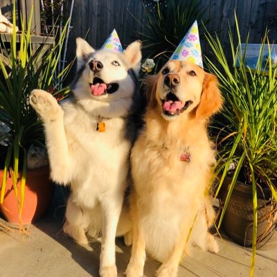 Couponprinces's profile picture. 