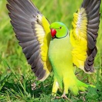 AAAAA (@kaldkald1392) 's Twitter Profile