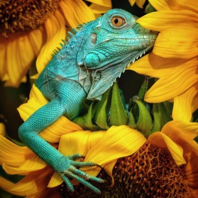 LuxuryWorldArt's profile picture. simple