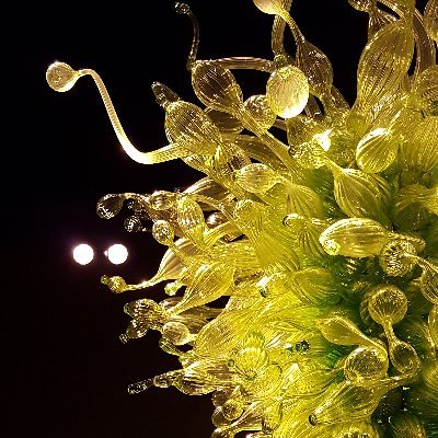 carrieduncan50's profile picture. The future glides into us, so as to remake itself within us, long before it occurs. — Rainer Maria Rilke