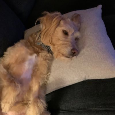 KenGlover's profile picture. Digital Marketing, Web Development, Cloud services engineer