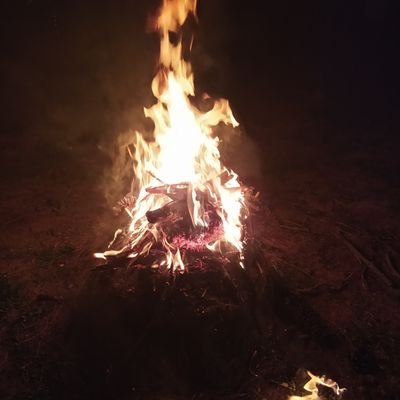 Secretária Executiva de Lúcio Fernando na Empresa Hell Enterprises | Sou capaz de atuar com autonomia e, ao mesmo tempo, sei quando envolver o CEO