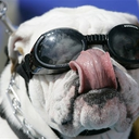 brad hancock - @twitster4evs - Twitter