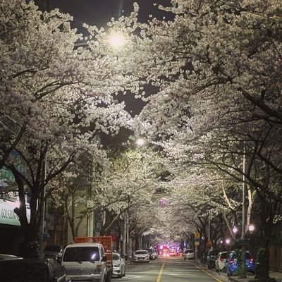 agira_0's profile picture. …