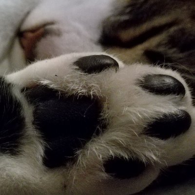 Just a little potato!// 18+ // Twitch affiliated
https://t.co/bkqSVy7n95