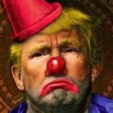 dumpytrumpy4u Profile Picture