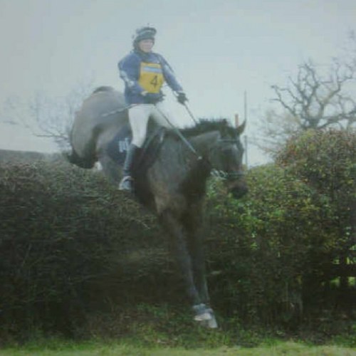 onebeeeeee's profile picture. 