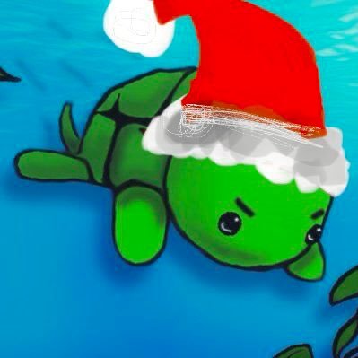 The ONLY REAL GUTLESS TURTLE 🐢https://t.co/7D5lkNcLl1