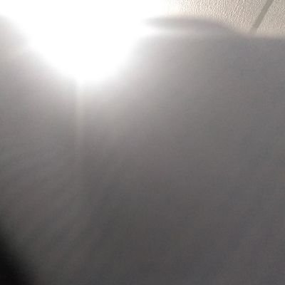 yess70303978's profile picture. 