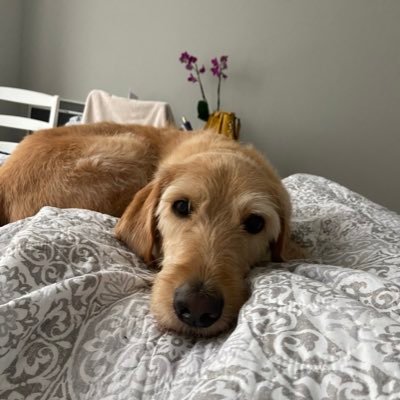 megan_takeuchi's profile picture. ♔ columbia MDE/DNP candidate