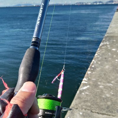 hunihunihunio1's profile picture. 阪神間でショアジギング！週末、堤防や磯でシャクリ上げてます！ pe3.0号、リーダー12号での遠投がお好み！