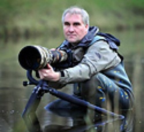 professioneel natuurfotograaf en meer... Grondlegger van te huren fotoschuilhutten in Nederland.