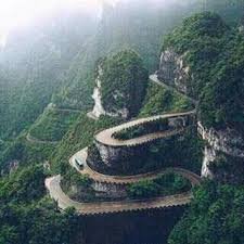 MatomelaJ's profile picture. dog lover at heart