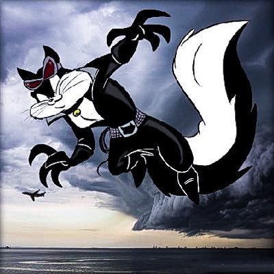 _windshear_'s profile picture. Catch the wind, see us spin sail away leave today way up high in the sky...