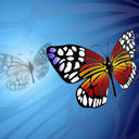 Bridgette Berry - @striglet - Twitter