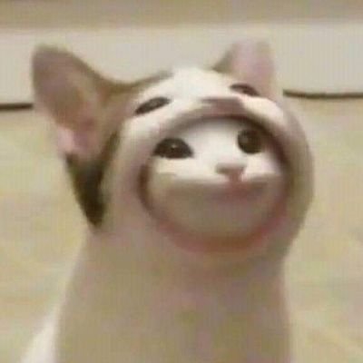 มาม่ารสต้มยำกุ้งใส่ไข่さんのプロフィール画像