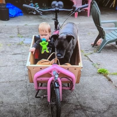 Founder of the largest bike valet in NA, carfree since 1986, living in Cully Green. Retired bike train conductor and retired chair of BikeLoud PDX.