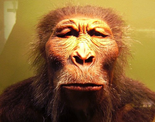 NutcrackerMan's profile picture. I am an ancient, bipedal hominid sporting a set of powerful jaws and huge molars, hence “Nutcracker Man”...but I hate nuts -- ALLERGIES!