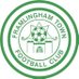 Framlingham Town FC (@TheCastlemen) Twitter profile photo