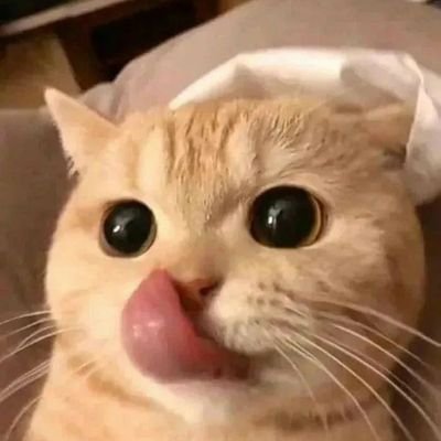 sekedar hobi