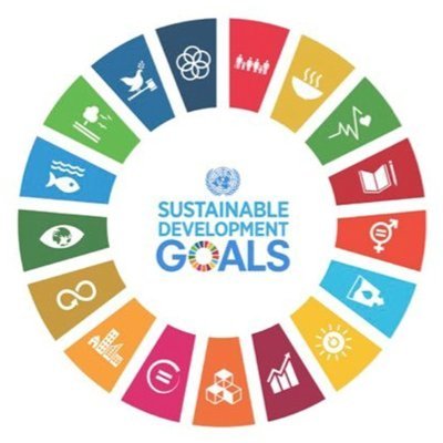 Punjab Sustainable Development Goals Support Unit.