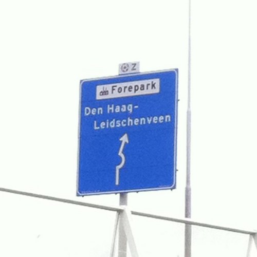 kiwilien's profile picture. 