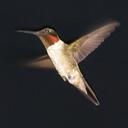 Kay Roe - @syruptoo - Twitter